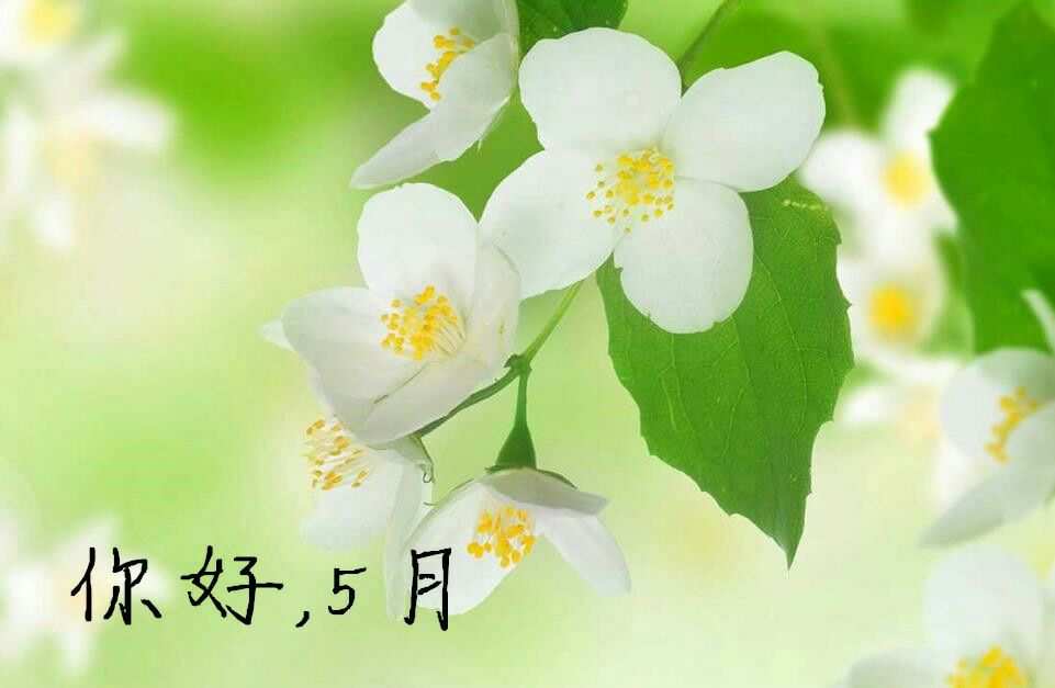 【仲夏5月】-成都、长沙 、桂林 、青岛、南京 ......6月我们在哪里相见？